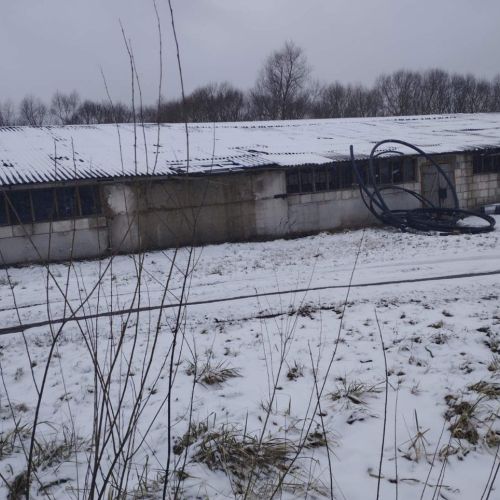 Лесопильный цех